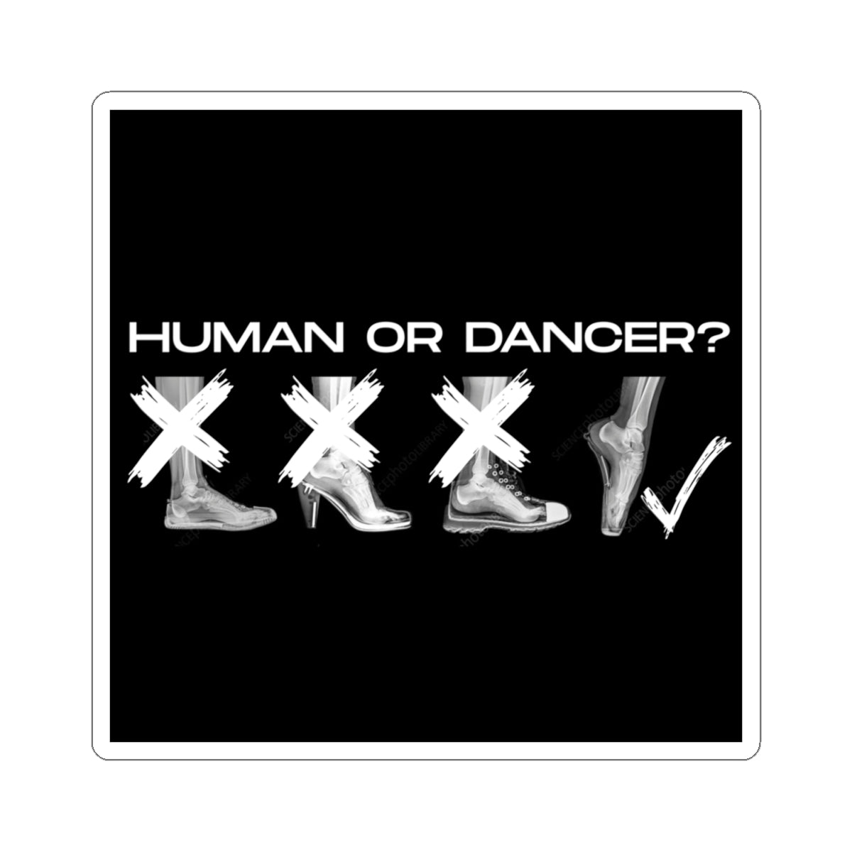 “Human or Dancer” Kiss-Cut Sticker – Ballet-Themed Vinyl Sticker with Cute X-Ray Foot Design for Dancers and Ballet Lovers
