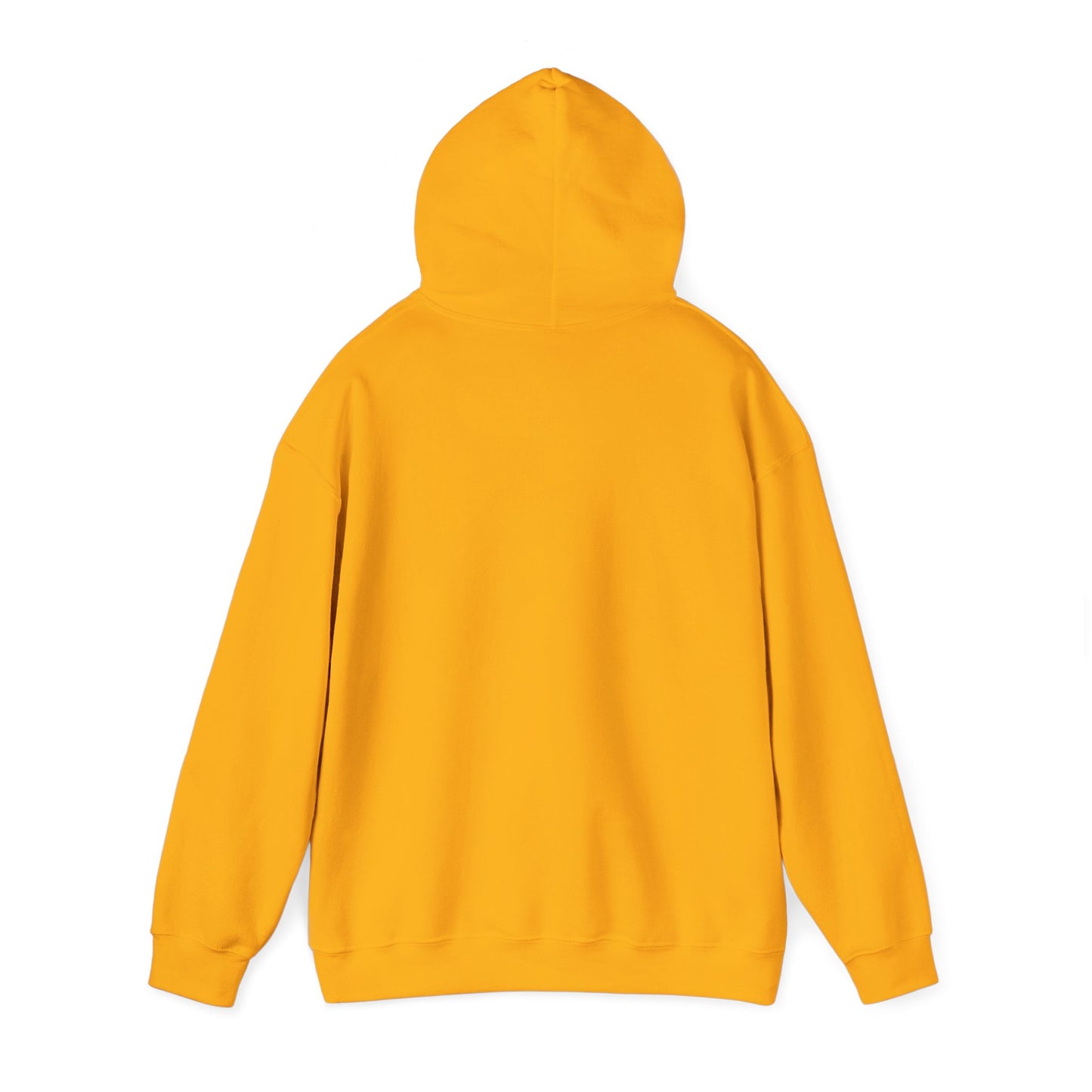 "One More Time is a Lie" Dance-Themed Unisex Hooded Sweatshirt – Bold Emblem Graphic Hoodie for Dancers