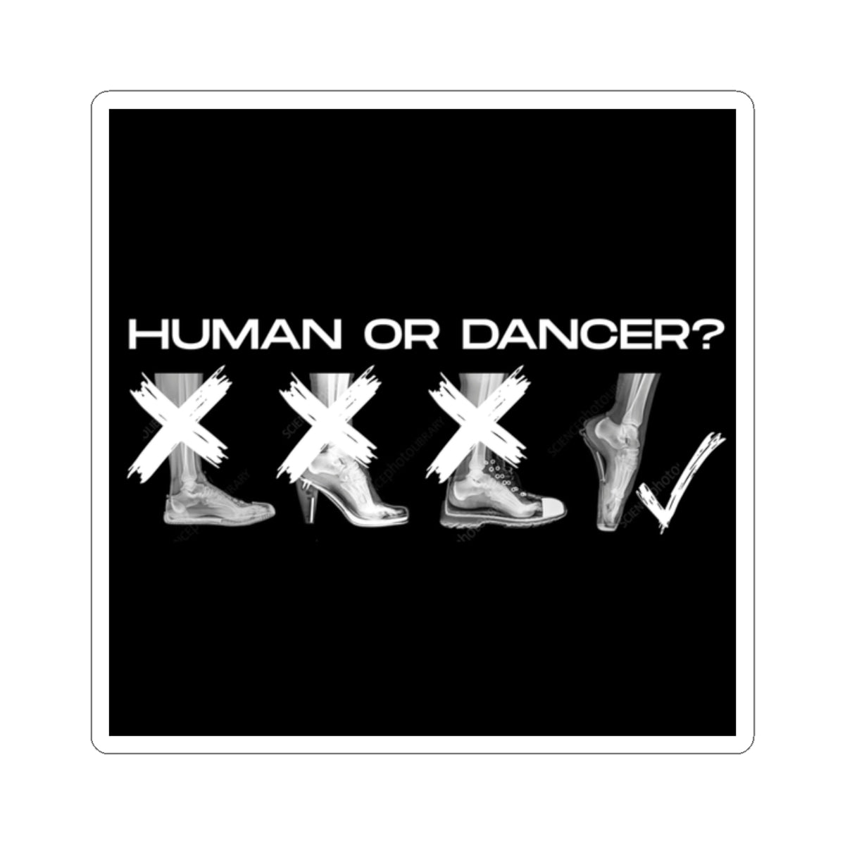 “Human or Dancer” Kiss-Cut Sticker – Ballet-Themed Vinyl Sticker with Cute X-Ray Foot Design for Dancers and Ballet Lovers