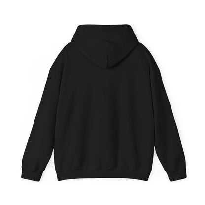 "Shake It Like a... Samba Dancer" Unisex Dance Hoodie – Carnival-Inspired Graphic Sweatshirt