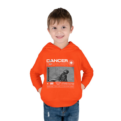 “Tiny Dancer” Toddler Pullover Hoodie – Streetwear-Inspired Ballet Dancer Graphic Sweatshirt for Kids